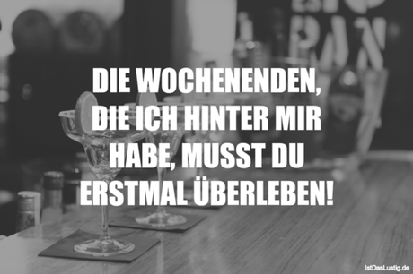 Lustiger BilderSpruch - DIE WOCHENENDEN, DIE ICH HINTER MIR HABE, MUSST...