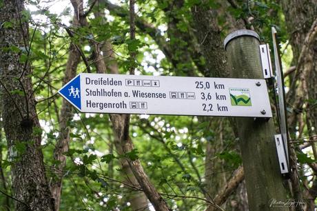 Mit Dayo auf dem Westerwald-Steig – Etappe 5