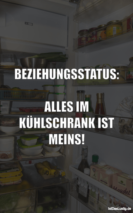 Lustiger BilderSpruch - BEZIEHUNGSSTATUS:  ALLES IM KÜHLSCHRANK IST MEINS!