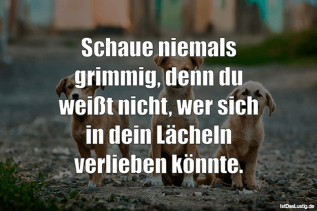 Lustiger BilderSpruch - Schaue niemals grimmig, denn du weißt nicht,...