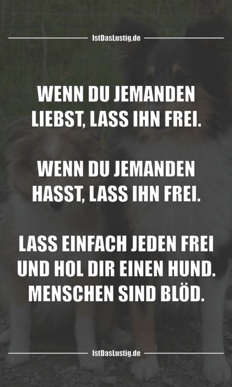 Lustiger BilderSpruch - WENN DU JEMANDEN LIEBST, LASS IHN FREI.  WENN...