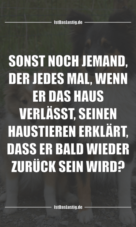 Lustiger BilderSpruch - SONST NOCH JEMAND, DER JEDES MAL, WENN ER DAS...