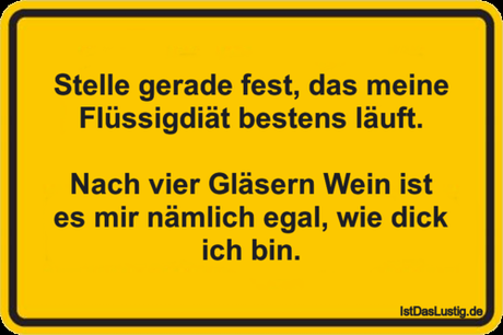 Lustiger BilderSpruch - Stelle gerade fest, das meine Flüssigdiät...