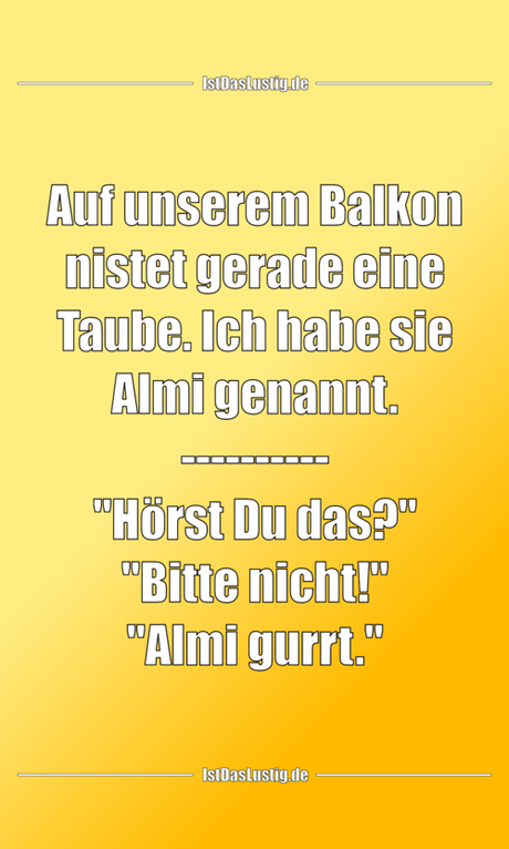 Lustiger BilderSpruch - Auf unserem Balkon nistet gerade eine Taube....