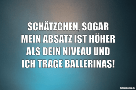 Lustiger BilderSpruch - SCHÄTZCHEN, SOGAR MEIN ABSATZ IST HÖHER ALS...