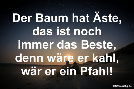 Lustiger BilderSpruch - Der Baum hat Äste, das ist noch immer das...
