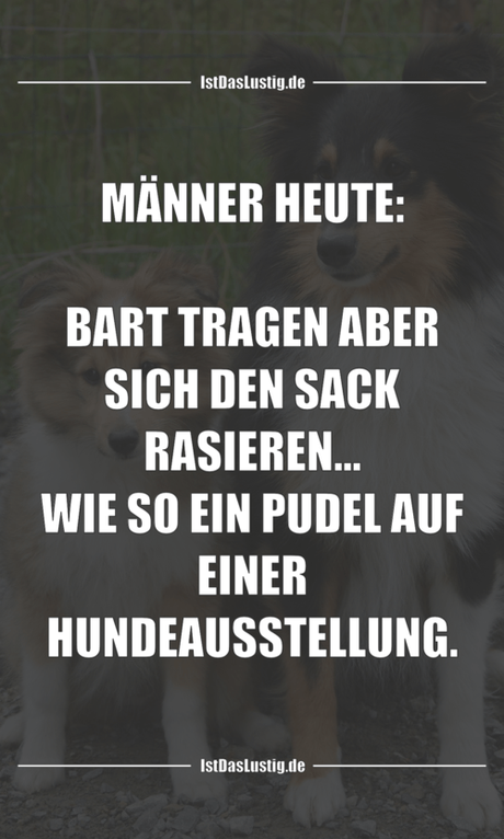 Lustiger BilderSpruch - MÄNNER HEUTE:  BART TRAGEN ABER SICH DEN SACK...