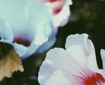 Sexualisierung – “90 Minuten für 200 Euro”