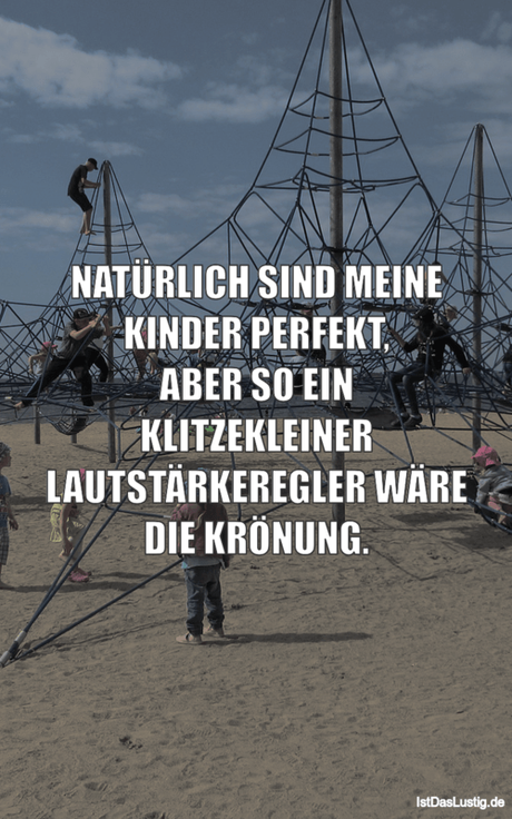 Lustiger BilderSpruch - NATÜRLICH SIND MEINE KINDER PERFEKT, ABER SO...