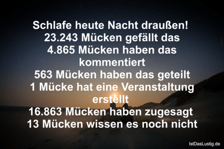 Lustiger BilderSpruch - Schlafe heute Nacht draußen!  23.243 Mücken...