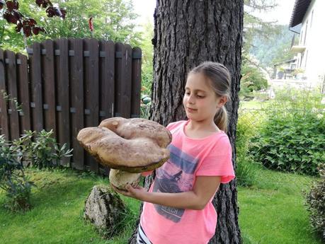 Bild der Woche: Riesen-Steinpilz in Mariazell