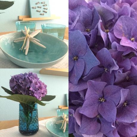 Friday-Flowerday – oder – Kühles Blau: Hortensie und Meer