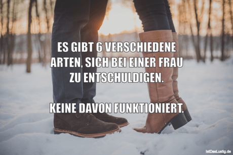 Lustiger BilderSpruch - ES GIBT 6 VERSCHIEDENE ARTEN, SICH BEI EINER...