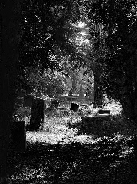 Friedhof – Powerscourt Gardens