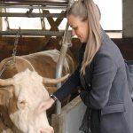Mootral – klimafreundliche Kühe und kostenlose Burger