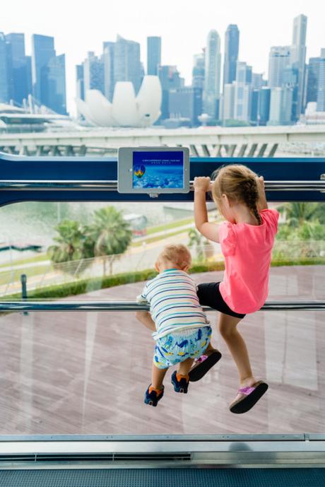 Singapore Flyer Riesenrad mit Kindern