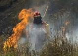 Waldbrand bei Capdepera