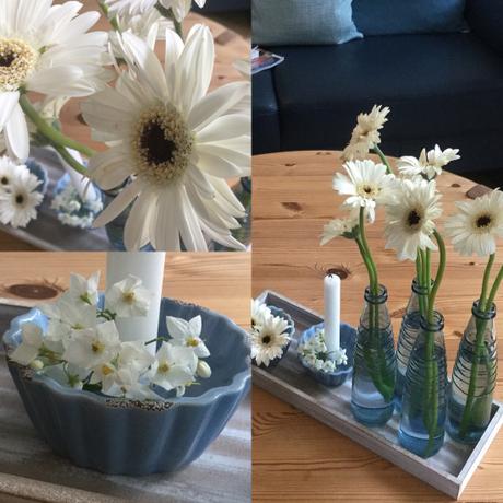 Friday-Flowerday – oder – Blau bleibt / Weiß kommt (dazu)