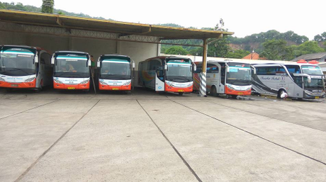 Harga Tiket Bus Rosalia Indah dan Rute Trayek