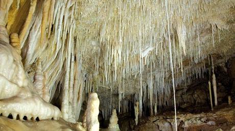 „Kühler“ Besuch der Höhlen auf Mallorca