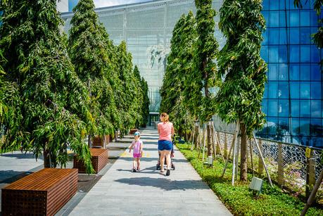 Tipps für Singapur Gardens by the Bay mit Kindern