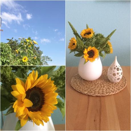 Friday-Flowerday – oder – Ja, ist denn schon Herbst?