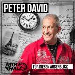 Peter David – Für Diesen Augenblick