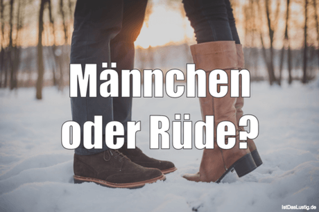 Lustiger BilderSpruch - Männchen oder Rüde?