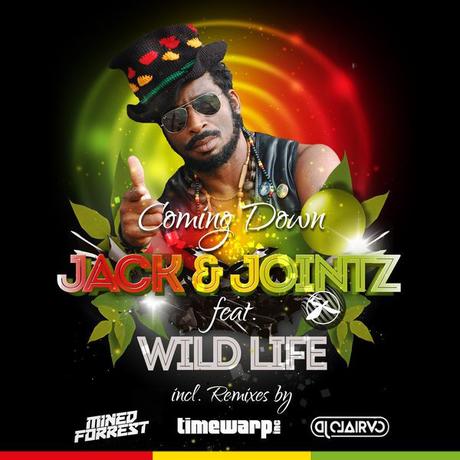 Reggae Summer Mix 2018 (Coming Down) by Quincy_Jointz