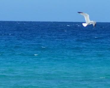 wallpaper-1689754