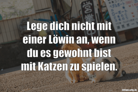 Lustiger BilderSpruch - Lege dich nicht mit einer Löwin an, wenn du es...