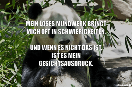 MEIN LOSES MUNDWERK BRINGT MICH OFT IN...