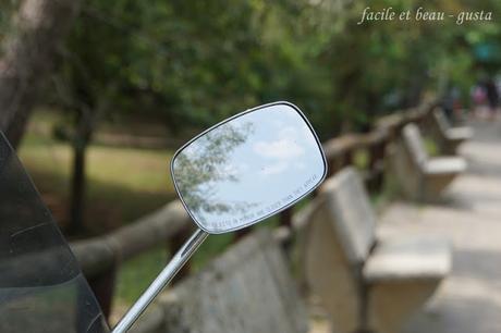 Roller Reflection