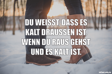Lustiger BilderSpruch - DU WEISST, DASS ES KALT DRAUSSEN IST, WENN DU...