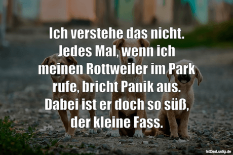 Lustiger BilderSpruch - Ich verstehe das nicht. Jedes Mal, wenn ich...