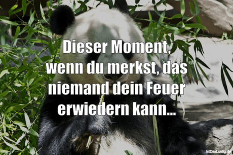 Lustiger BilderSpruch - Dieser Moment, wenn du merkst, das niemand dein...
