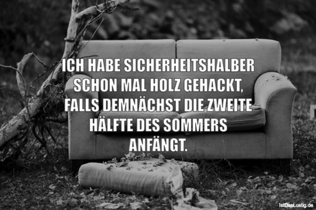 Lustiger BilderSpruch - ICH HABE SICHERHEITSHALBER SCHON MAL HOLZ...