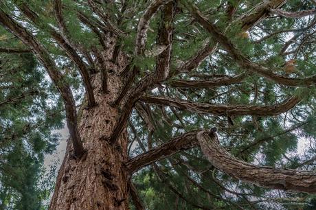 Schloss Heiligenberg