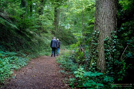 Schloss Heiligenberg