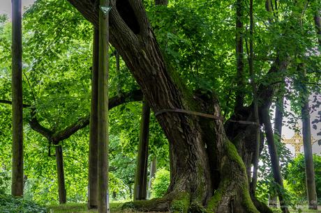 Schloss Heiligenberg