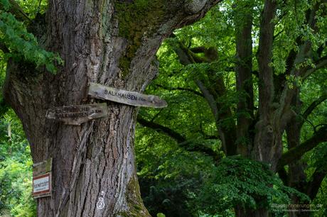 Schloss Heiligenberg