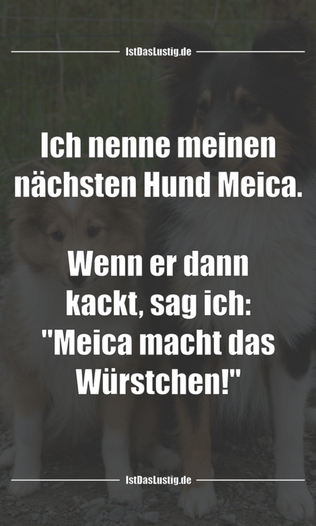Lustiger BilderSpruch - Ich nenne meinen nächsten Hund Meica.  Wenn er...