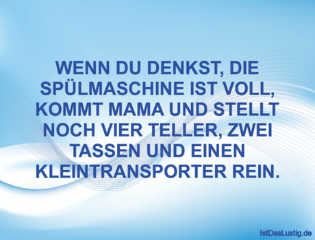Lustiger BilderSpruch - WENN DU DENKST, DIE SPÜLMASCHINE IST VOLL,...