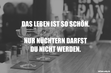 Lustiger BilderSpruch - DAS LEBEN IST SO SCHÖN.  NUR NÜCHTERN DARFST DU...