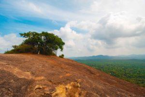 Sigirya Rock, der Löwenfelsen und warum du dir den Eintritt fast sparen kannst