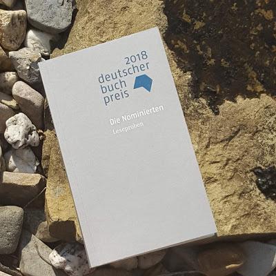 Die Longlist des Deutschen Buchpreises 2018 - diese Titel sind im Rennen