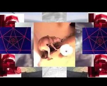 Happy Releaseday: EVERLAST WHITEY FORD´S HOUSE OF PAIN • full Album stream + Video + Tourdaten