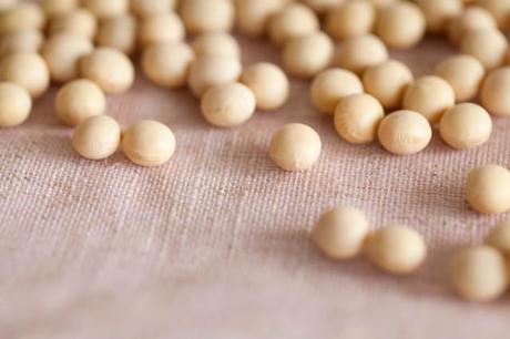 Natto wird aus kleineren Sojabohnen durch Fermentieren hergestellt.