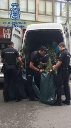 Der Geruch verriet einen Van voller Marihuana in Palma