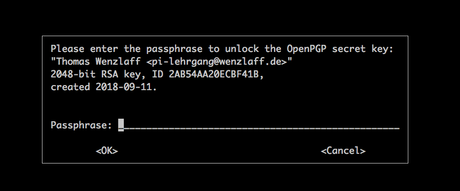 Raspberry Pi bricht beim signieren eines Git tags mit „gpg: signing failed: Unpassender IOCTL (I/O-Control) für das Gerät“ ab